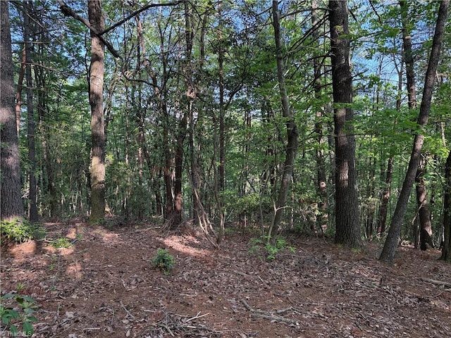 LOT27 Wolf Pen Rd, Purlear, NC 28665