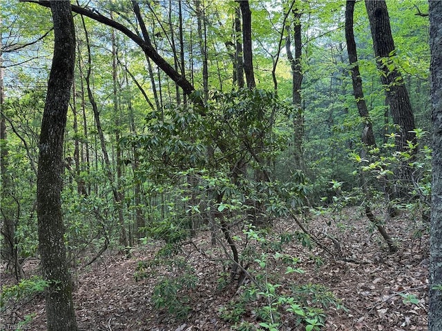 LOT27 Wolf Pen Rd, Purlear, NC 28665
