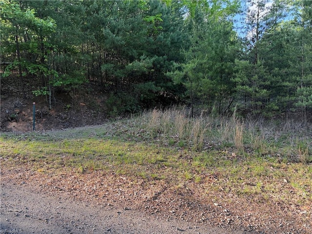 LOT27 Wolf Pen Rd, Purlear, NC 28665