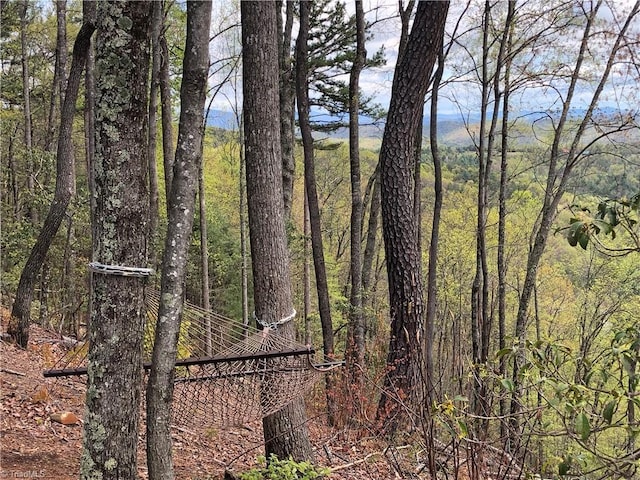 LOT27 Wolf Pen Rd, Purlear, NC 28665