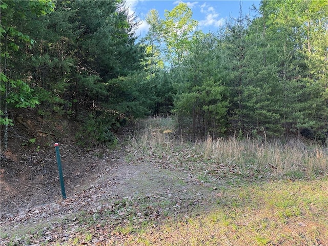 LOT27 Wolf Pen Rd, Purlear, NC 28665