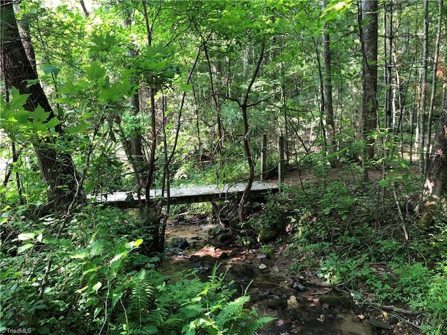 LOT27 Wolf Pen Rd, Purlear, NC 28665