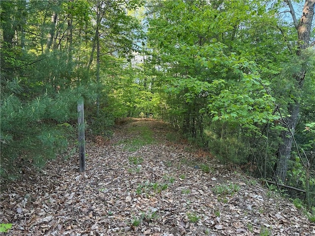 LOT27 Wolf Pen Rd, Purlear, NC 28665