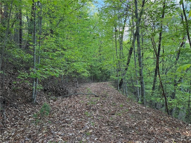 LOT27 Wolf Pen Rd, Purlear, NC 28665