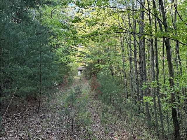 LOT27 Wolf Pen Rd, Purlear, NC 28665