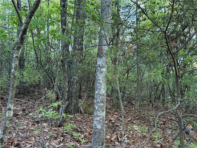LOT27 Wolf Pen Rd, Purlear, NC 28665