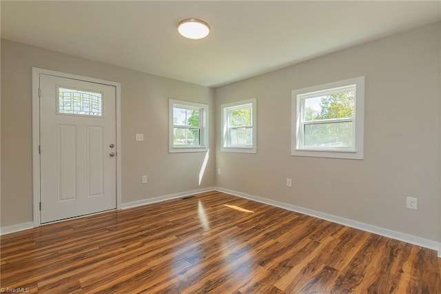 entrance foyer with wood finished floors, a wealth of natural light, and baseboards