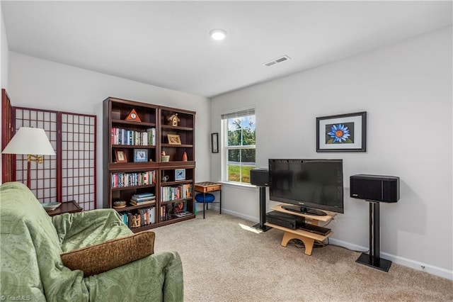 141 Nova Ln, King, NC 27021 - living area with carpet and baseboards