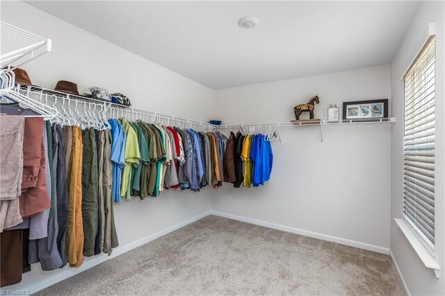 141 Nova Ln, King, NC 27021 - spacious closet featuring carpet