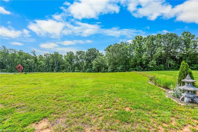 141 Nova Ln, King, NC 27021 - view of grassy yard with a view of trees