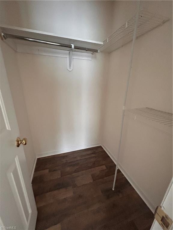 spacious closet with dark wood-style flooring