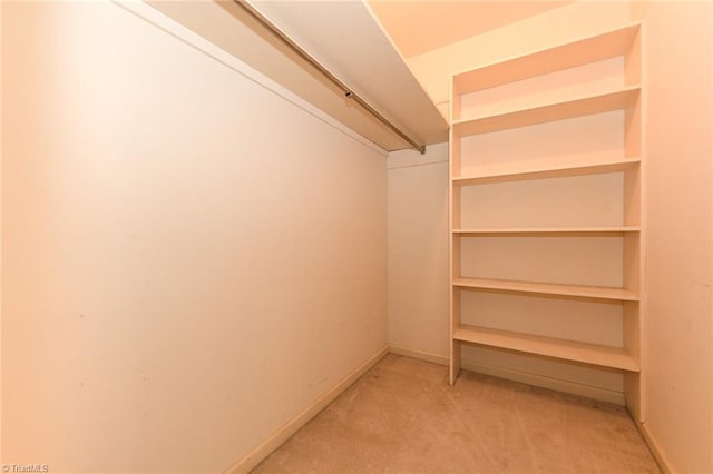 1300 Hobbs Rd, Greensboro, NC 27410 - spacious closet with light colored carpet