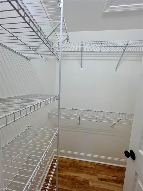 spacious closet featuring dark wood finished floors