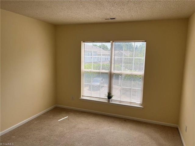 3931 Fountain Village Ln, High Point, NC 27265 - spare room featuring light colored carpet, plenty of natural light, a textured ceiling, and baseboards