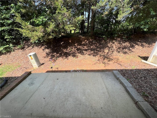 3931 Fountain Village Ln, High Point, NC 27265 - view of yard with a patio area