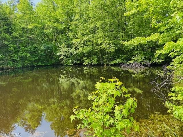 526 Bob Rainey Trl, Burlington, NC 27217 - water view with a forest