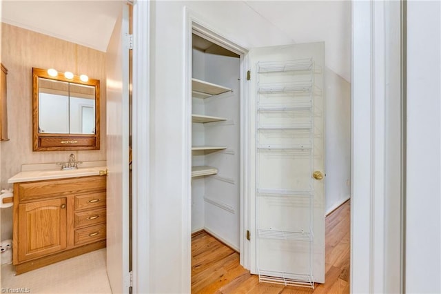 bathroom with wood finished floors and vanity