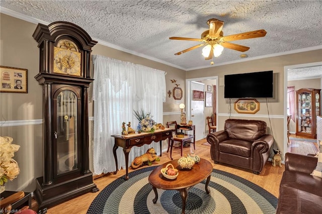 living room with ceiling fan, light hardwood / wood-style flooring, a textured ceiling, and ornamental molding