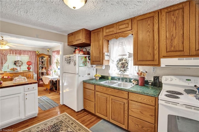 kitchen featuring white appliances, ventilation hood, sink, a textured ceiling, and a healthy amount of sunlight