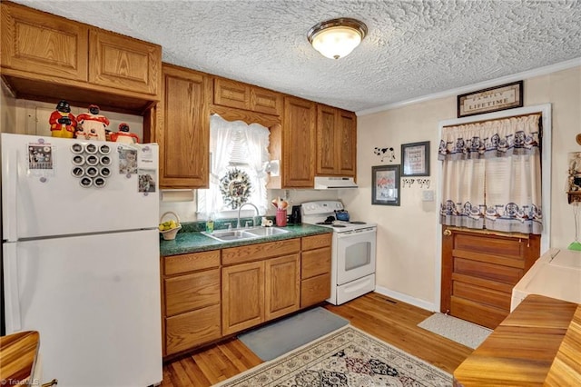 kitchen featuring sink, light hardwood / wood-style flooring, crown molding, white appliances, and exhaust hood