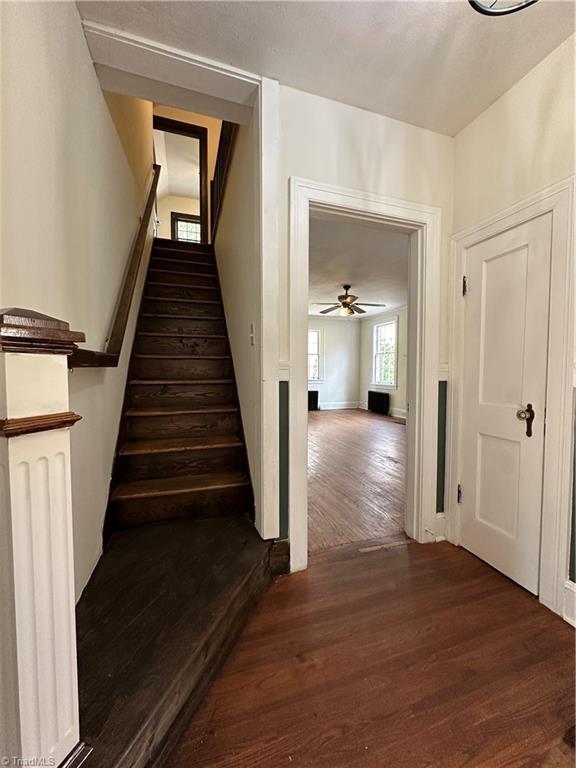 staircase featuring ceiling fan and wood finished floors