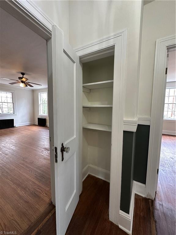 closet with radiator