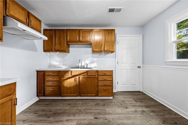 kitchen featuring hardwood / wood-style floors and sink