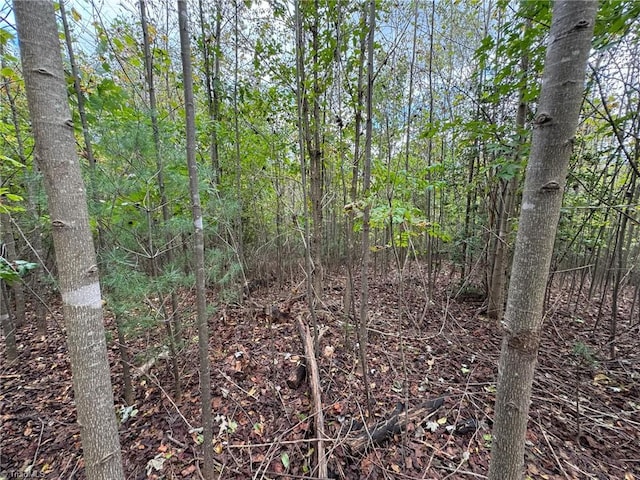 Listing photo 2 for LOT42 Billings Hill Church Rd, Traphill NC 28685