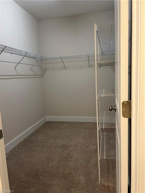 spacious closet featuring carpet