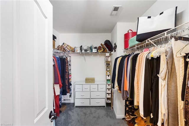 walk in closet with carpet floors