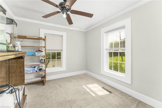4814 Merrimac St, Winston-Salem, NC 27105 - carpeted bedroom with multiple windows, crown molding, a textured ceiling, and ceiling fan