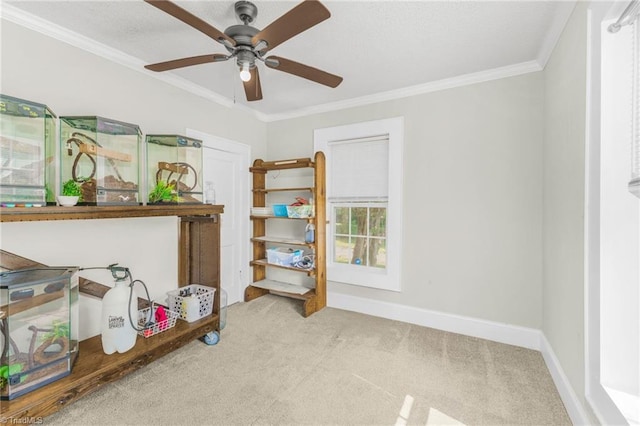 4814 Merrimac St, Winston-Salem, NC 27105 - misc room with carpet flooring, crown molding, and ceiling fan