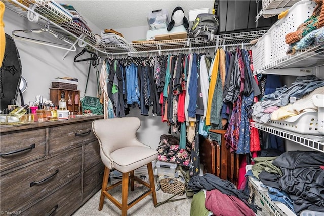 4814 Merrimac St, Winston-Salem, NC 27105 - view of spacious closet