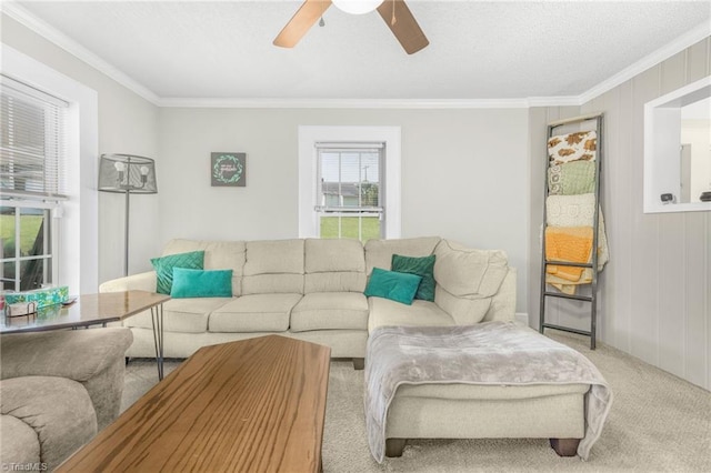 4814 Merrimac St, Winston-Salem, NC 27105 - carpeted living area with ornamental molding, ceiling fan, and a textured ceiling