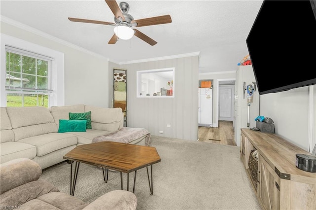 4814 Merrimac St, Winston-Salem, NC 27105 - living room featuring a ceiling fan, ornamental molding, and light carpet