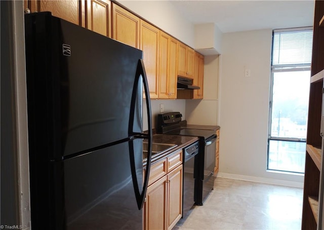 kitchen featuring a healthy amount of sunlight, sink, and black appliances