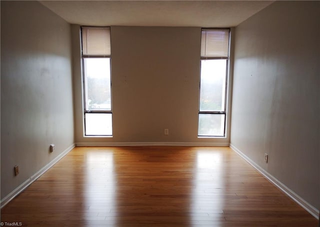 unfurnished room with a healthy amount of sunlight and light hardwood / wood-style flooring