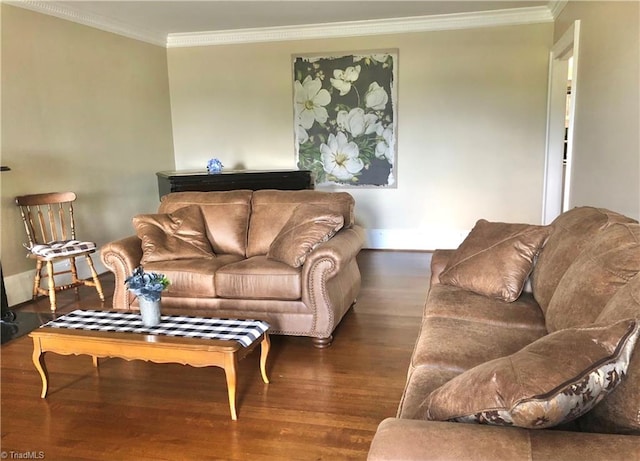 living room featuring ornamental molding and dark hardwood / wood-style floors