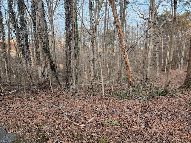 00 Nancy Dr, Mount Airy, NC 27030