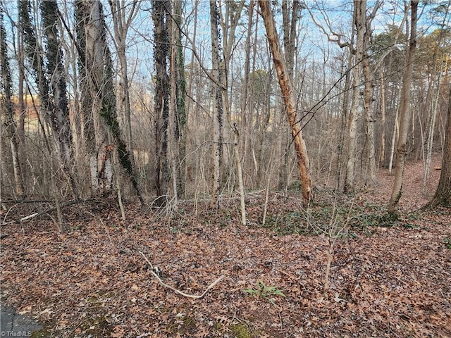 00 Nancy Dr, Mount Airy NC, 27030 land for sale