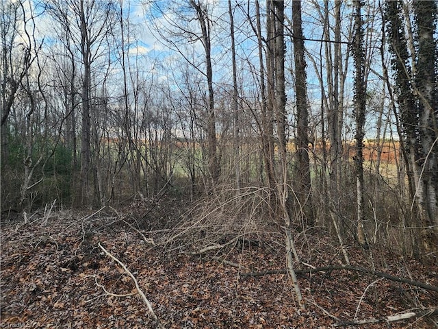 00 Nancy Dr, Mount Airy, NC 27030