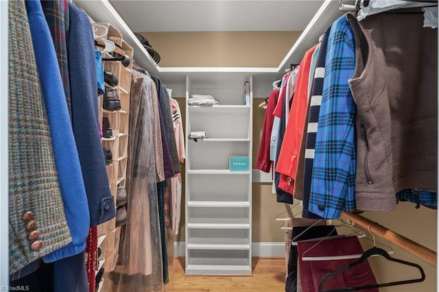 walk in closet featuring wood finished floors