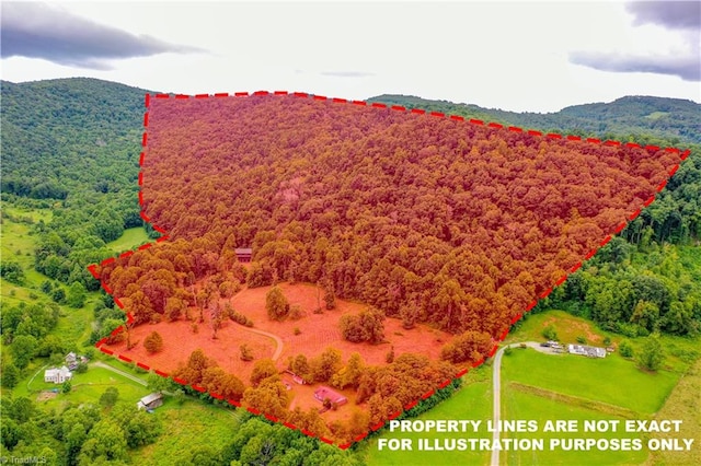 aerial view featuring a mountain view