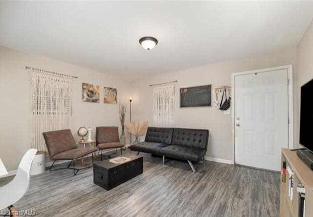 living room featuring hardwood / wood-style floors