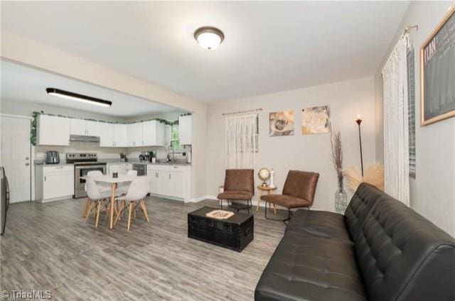 living room featuring wood-type flooring