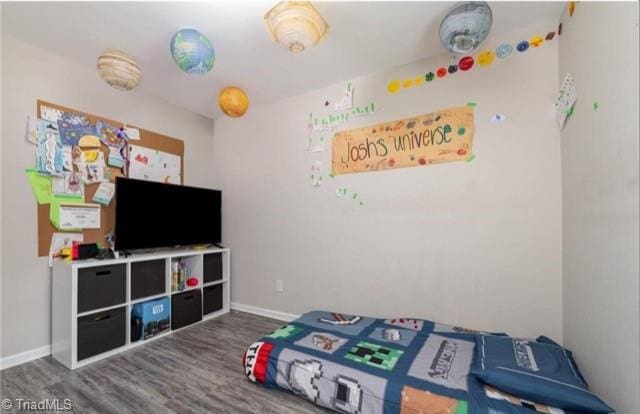 bedroom with hardwood / wood-style flooring