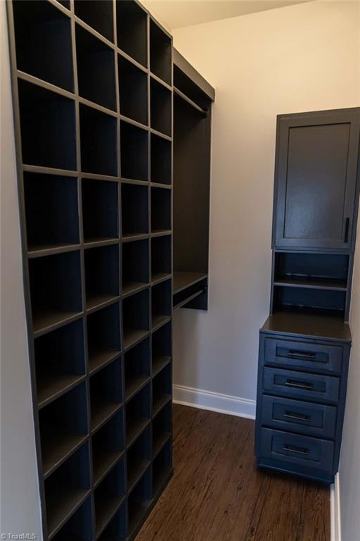 walk in closet featuring dark wood-type flooring