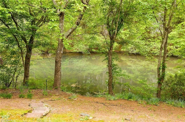 5711 Beaver Pond Trl, Pfafftown, NC 27040 - water view featuring a forest