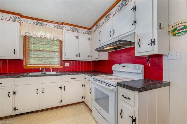 kitchen with decorative backsplash, dark countertops, white electric range, a sink, and under cabinet range hood