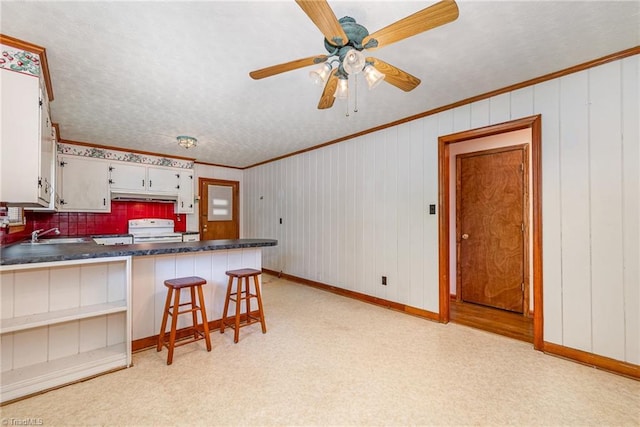 kitchen with crown molding, dark countertops, a sink, electric stove, and under cabinet range hood